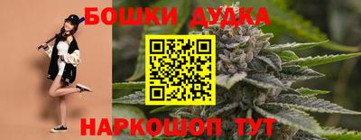 индика Рязань