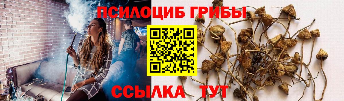 Галлюциногенные грибы Psilocybe  Вход с VPN  Галлюциногенные грибы прущие грибы  Дюртюли 